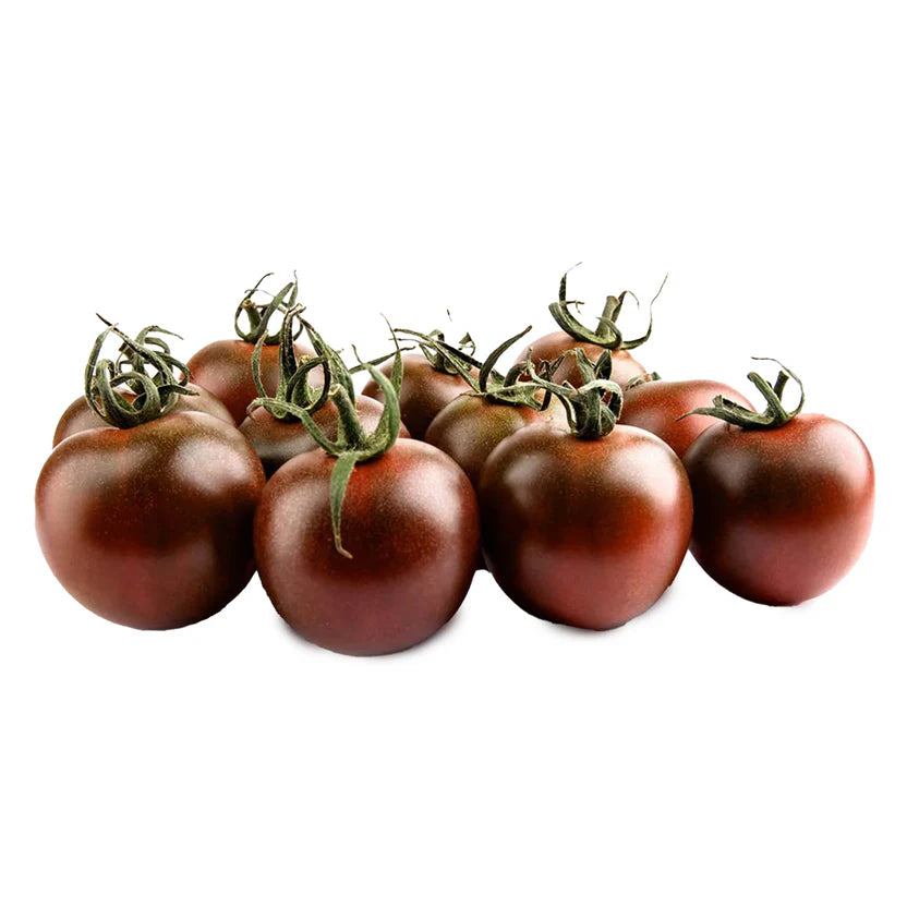 TOMATO CHERRY VINE BLACK
