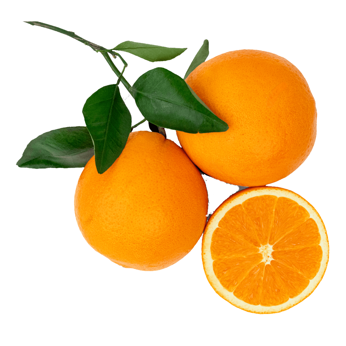 ORANGES LEAFY TAROCCO
