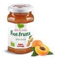 RIGONI BIO ORGANIC JAM GR 250 APRICOT X 6