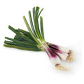 ONION TROPEA SPRING BUNCH