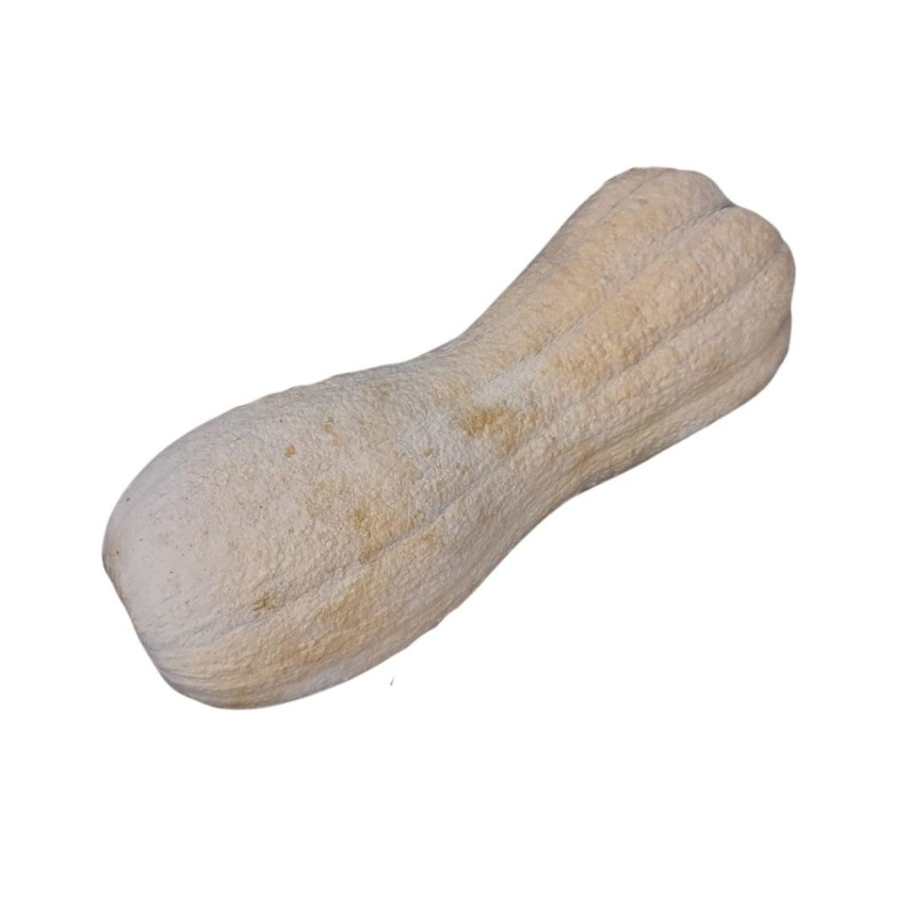 SQUASH VIOLINO