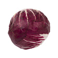 RADICCHIO ROUND X9
