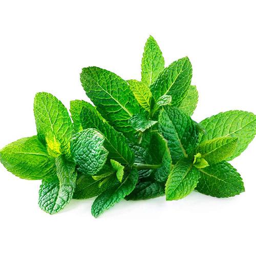 MINT BOX