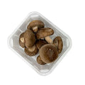 MUSHROOM CAP BROWN PUNNET