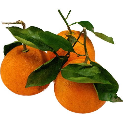 ORANGES LEAFY CAL. 4 NAVEL