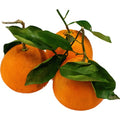 ORANGES LEAFY CAL. 4 NAVEL