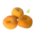 PEACH PERCOCHE CAL. 24