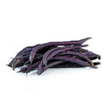 BEANS PURPLE