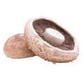 MUSHROOM PORTOBELLO