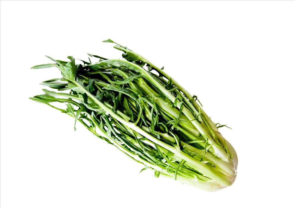 PUNTARELLA