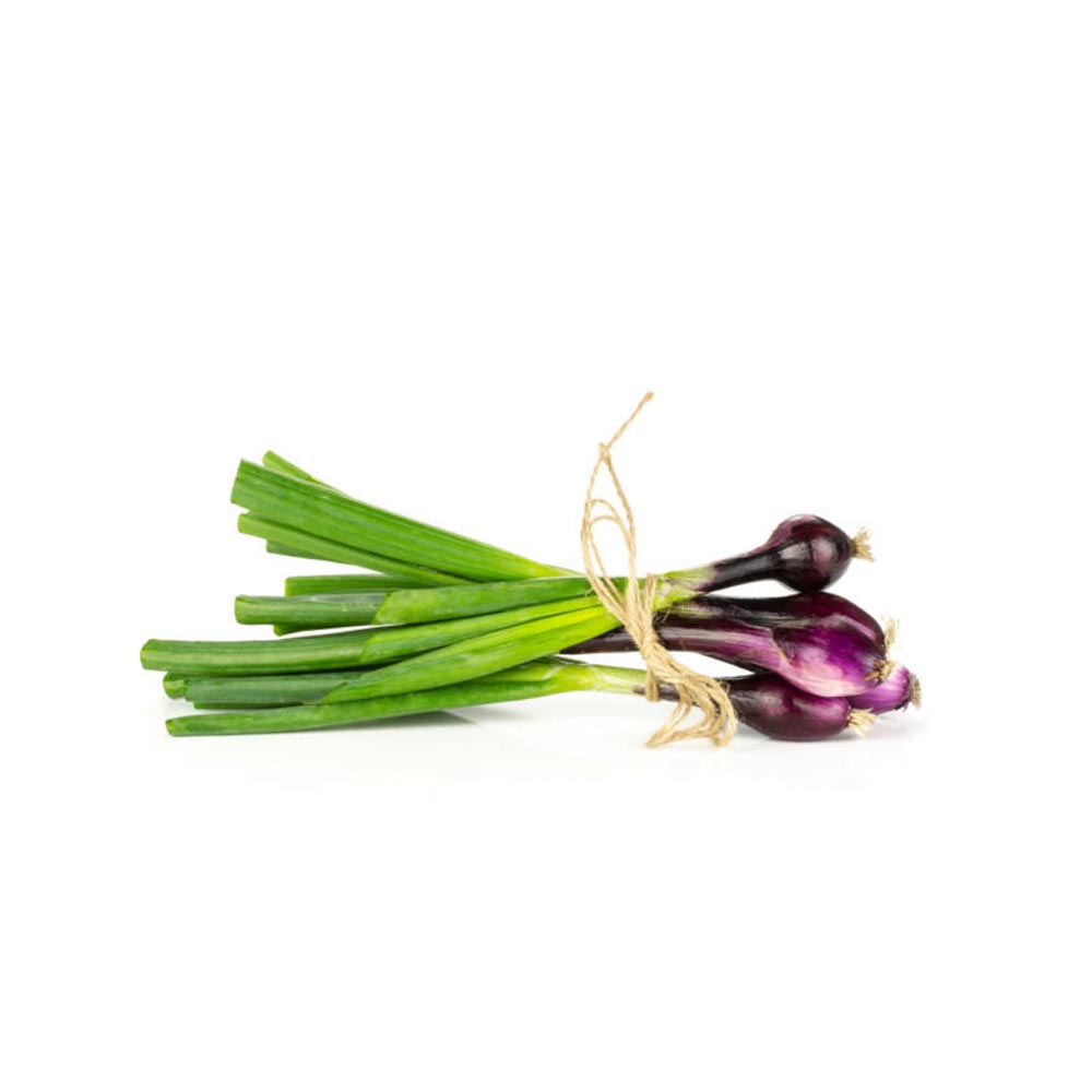 ONION GRELOT RED CIPOLLOTTO BUNCH