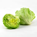 LETTUCE