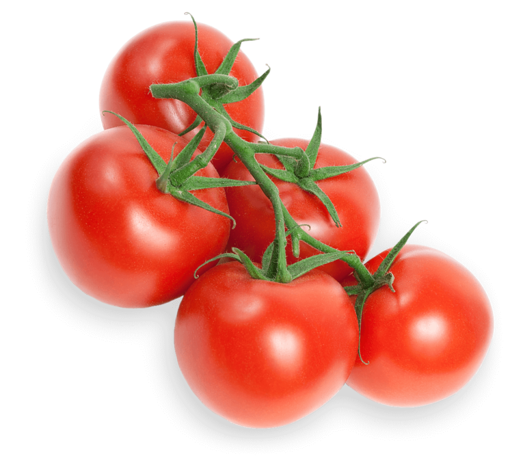 TOMATO ROUND RED ON THE VINE