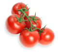 TOMATO ROUND RED ON THE VINE