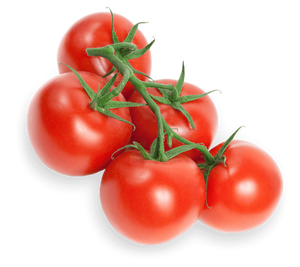 TOMATO ROUND RED ON THE VINE
