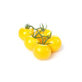 TOMATO CHERRY VINE YELLOW