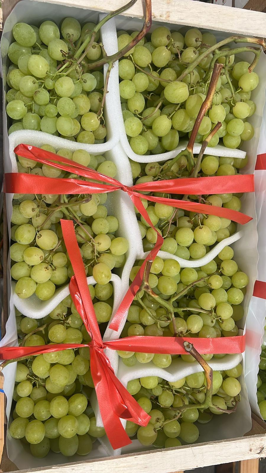GRAPES WHITE TREBBIANO