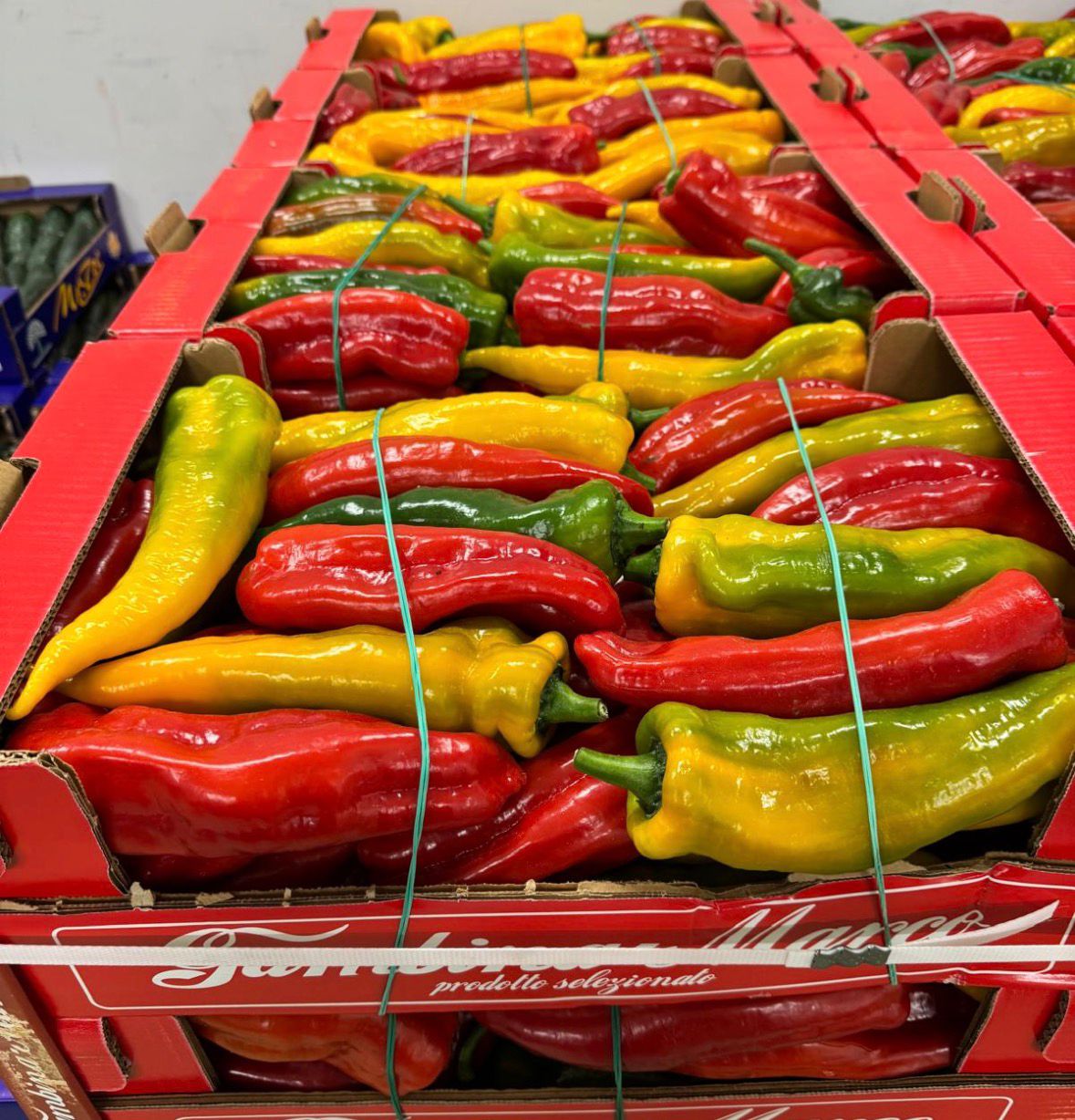 PEPPERS CORN MIX RED AND YELLOW