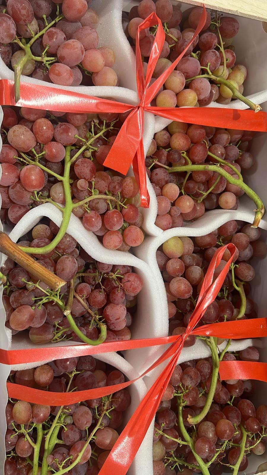 GRAPES SEEDLESS ROSE