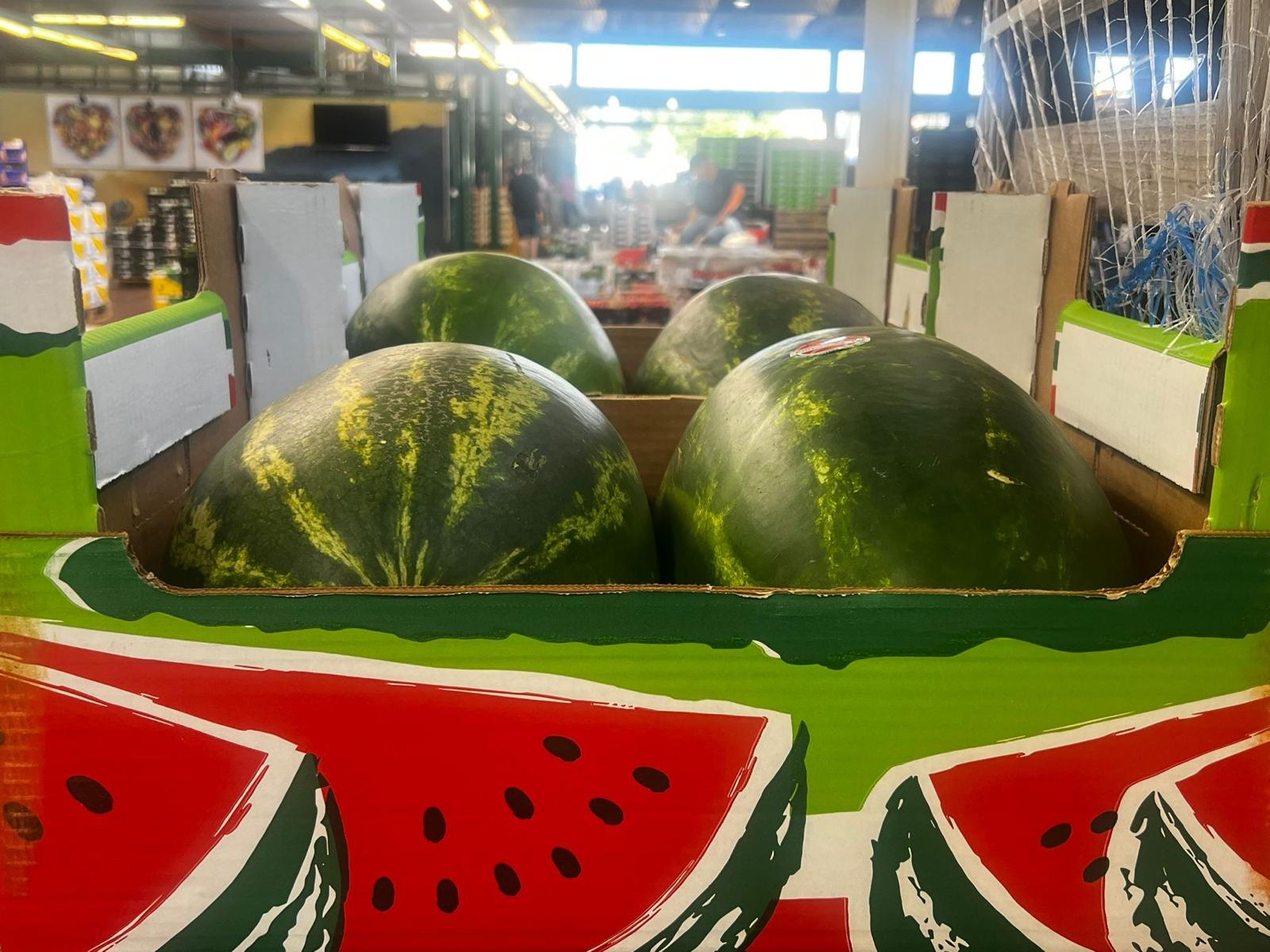 WATERMELON BOX X 2