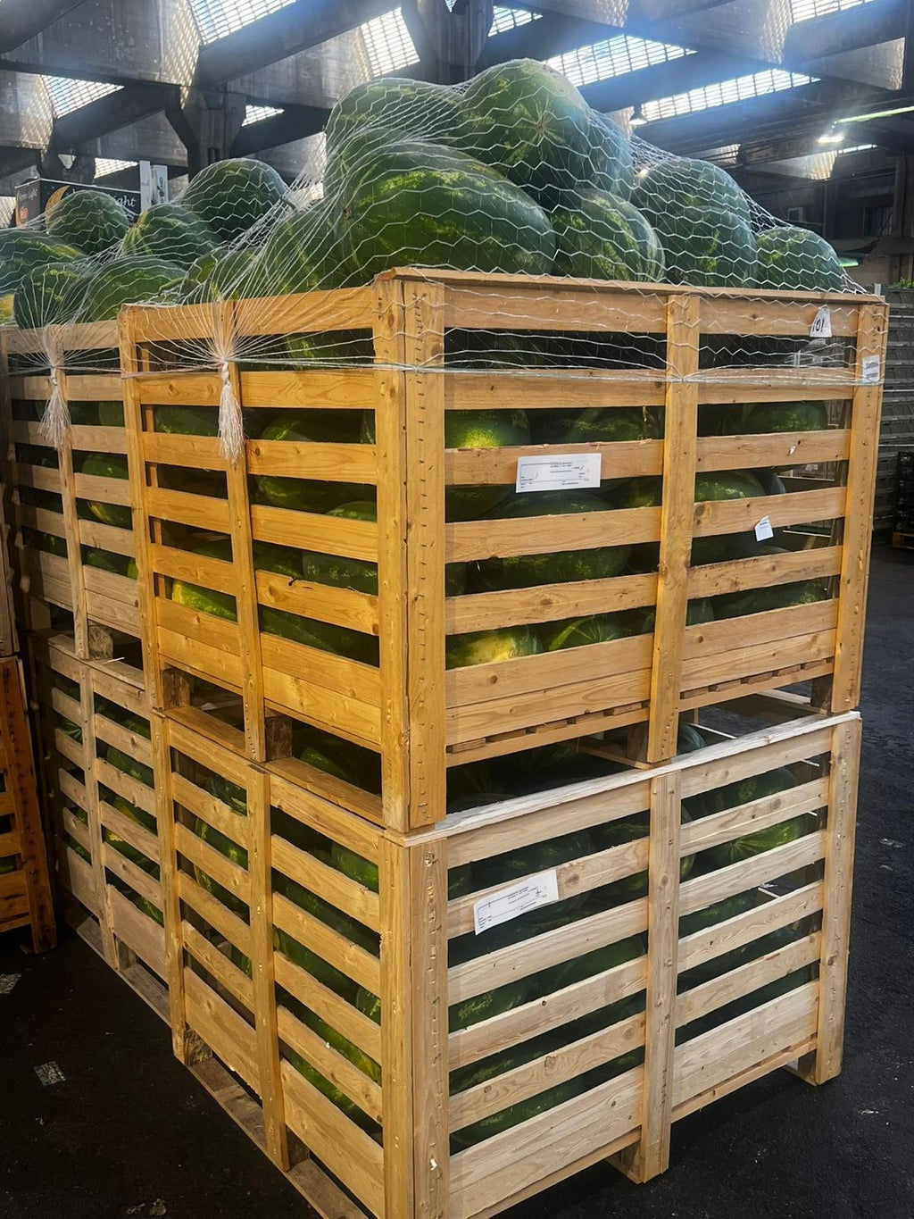 WATERMELON BIN 9-12 KG