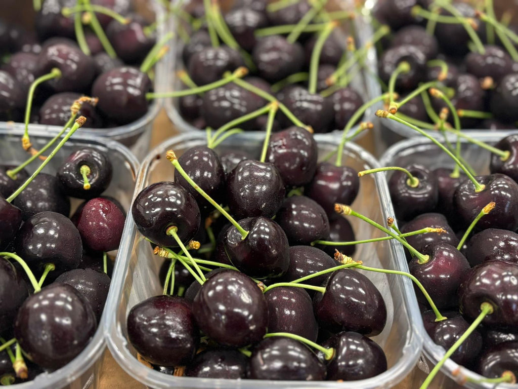 MORELLO CHERRY