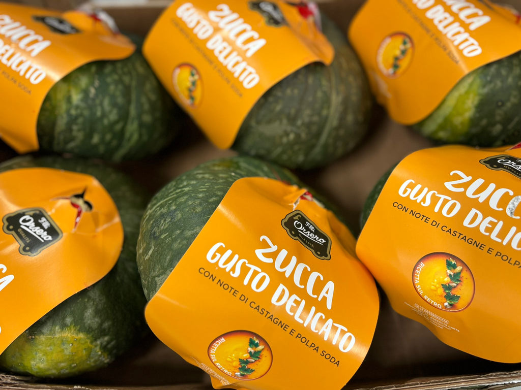 SQUASH DELICA