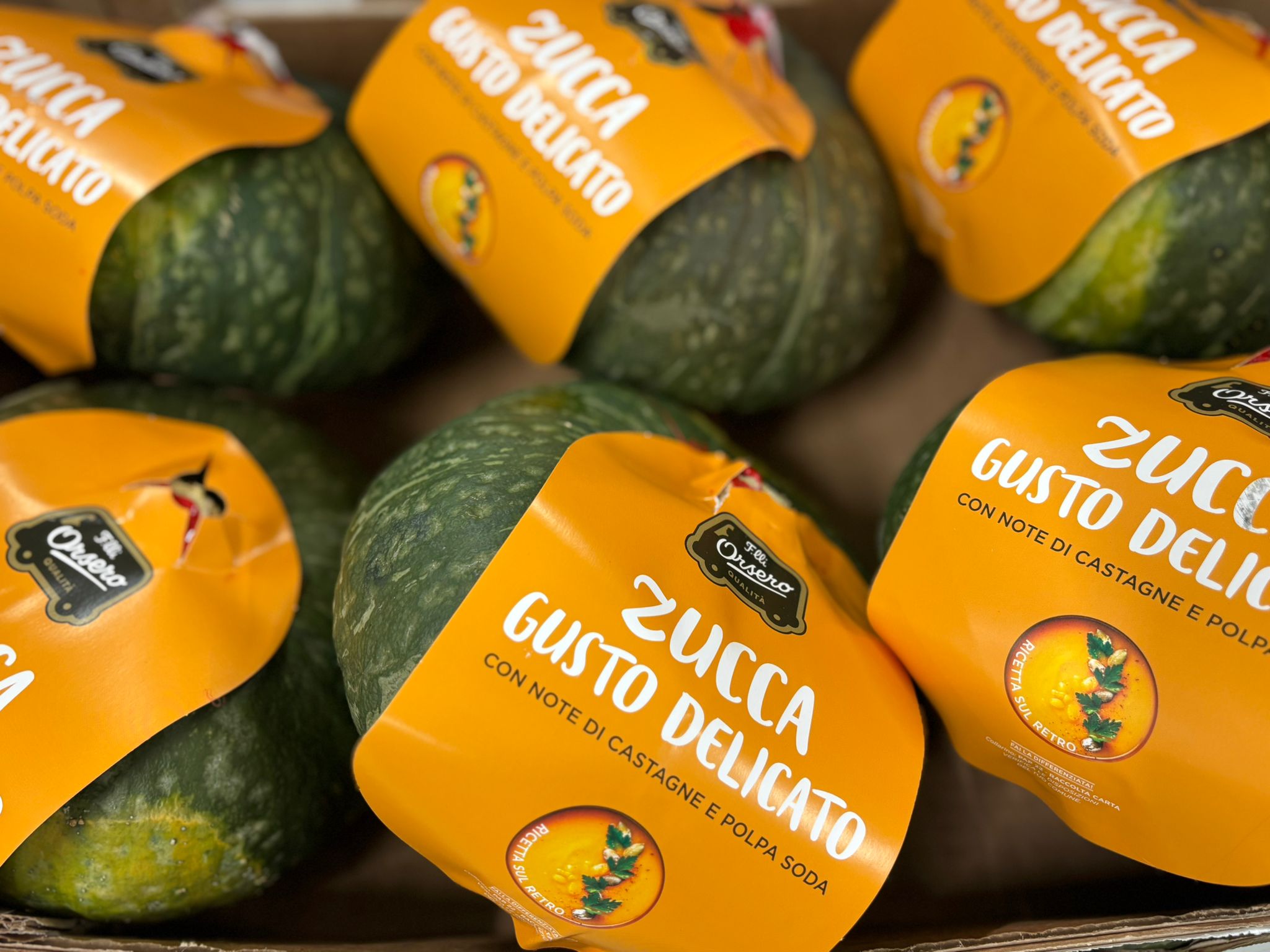 SQUASH DELICA