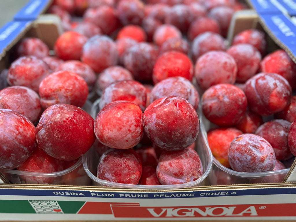 PLUM RED