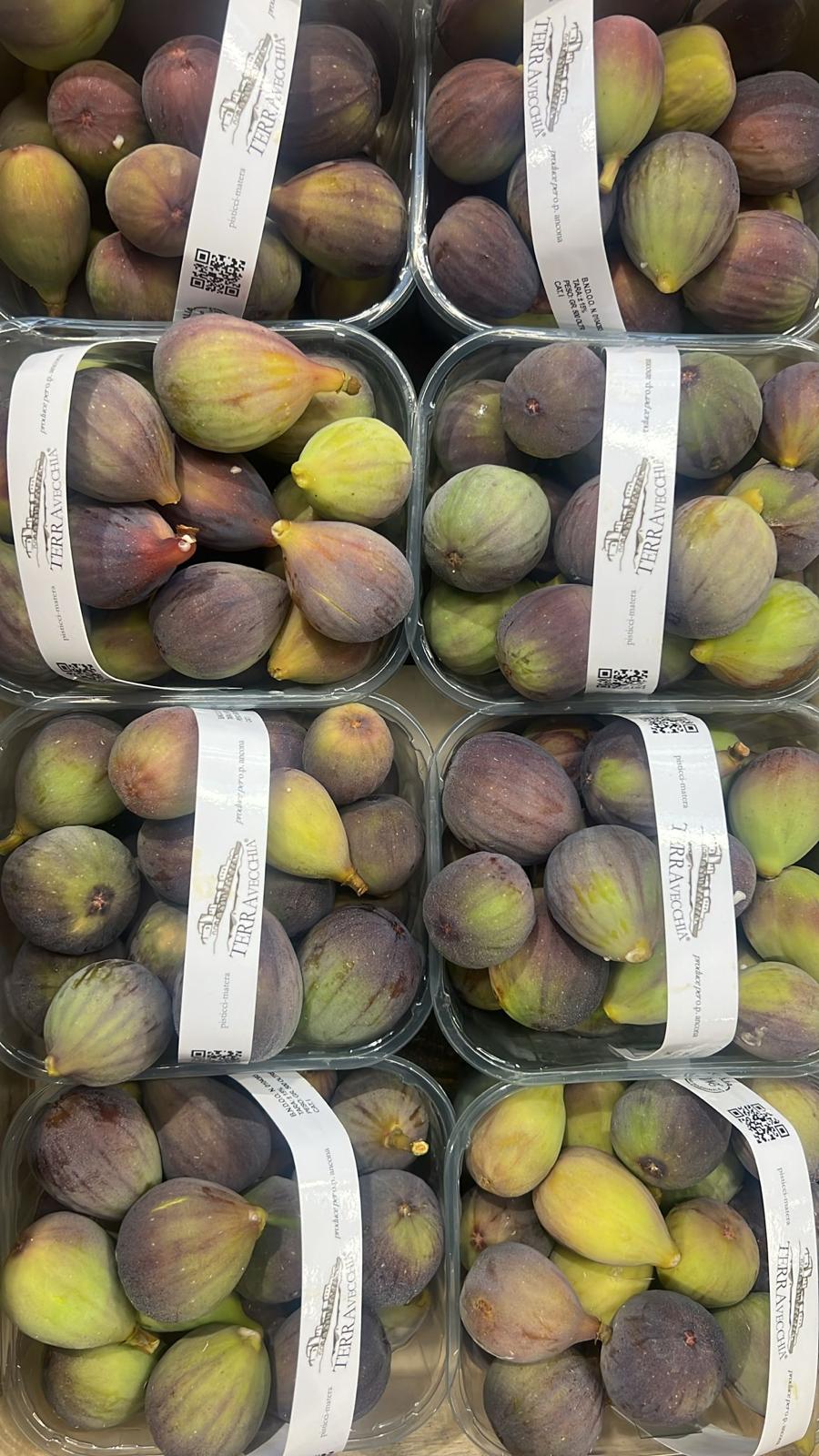 FIGS PUNNETS