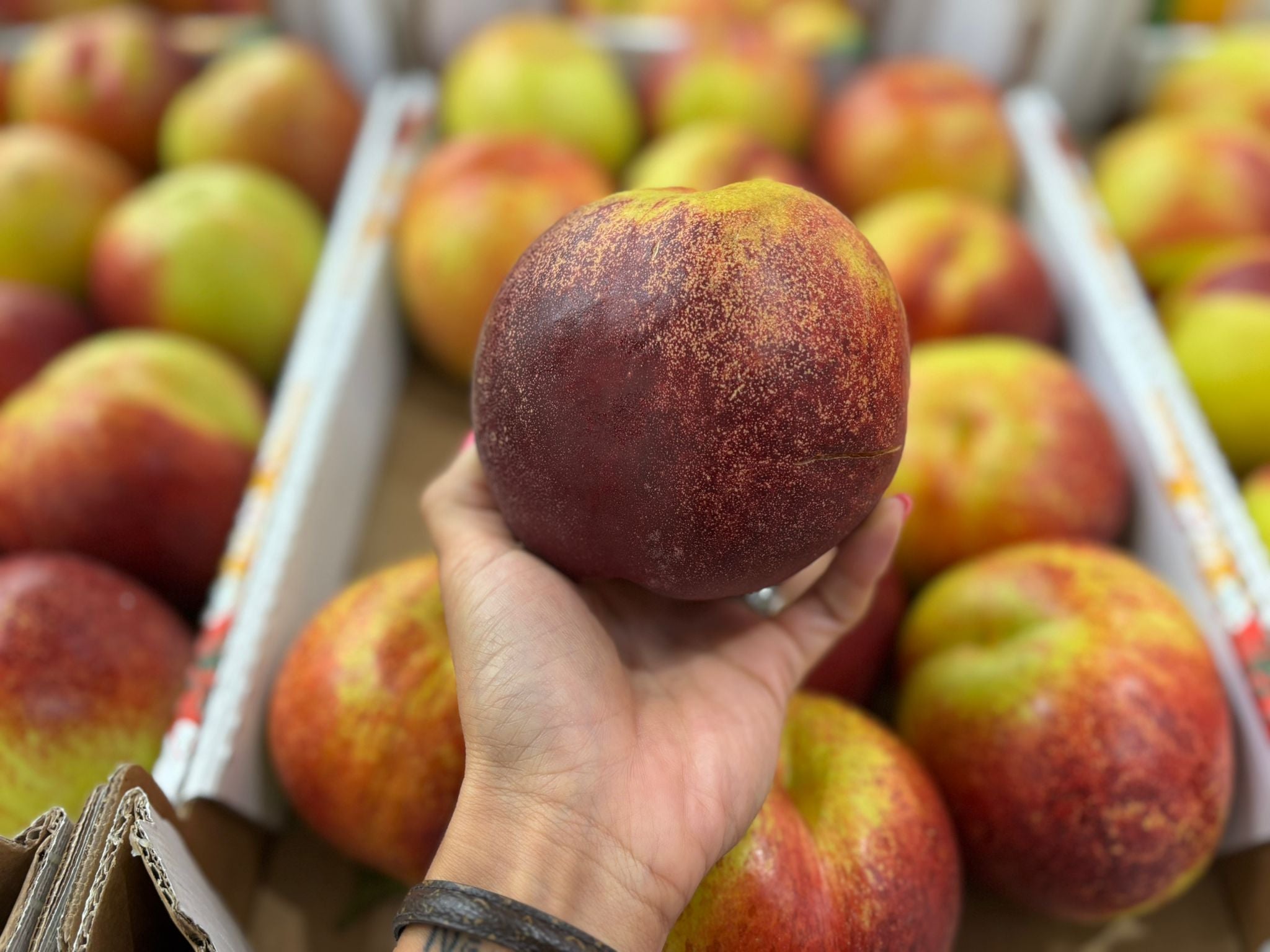 PEACH NECTARINE YELLOW CAL. 16