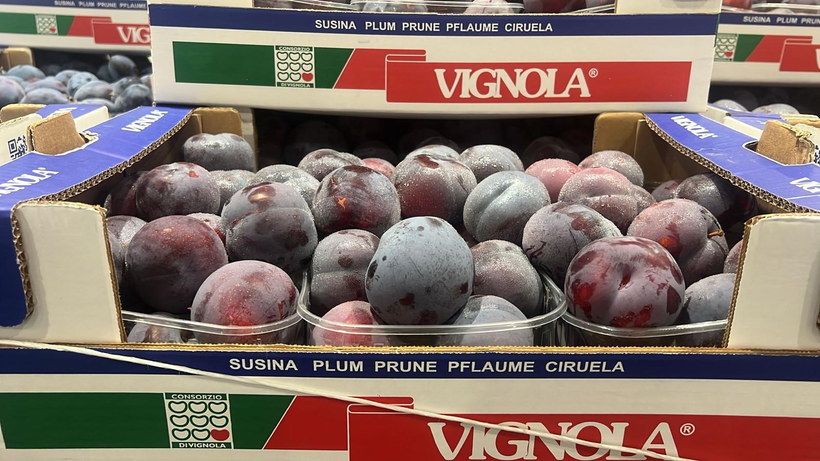 PLUMS BLACK SPLENDOR