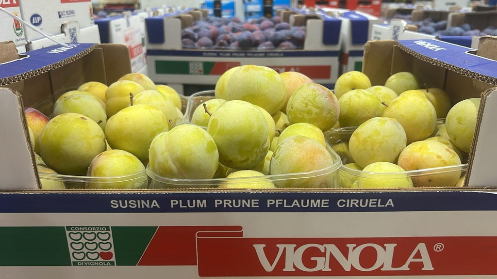 PLUM GOCCIA D`ORO