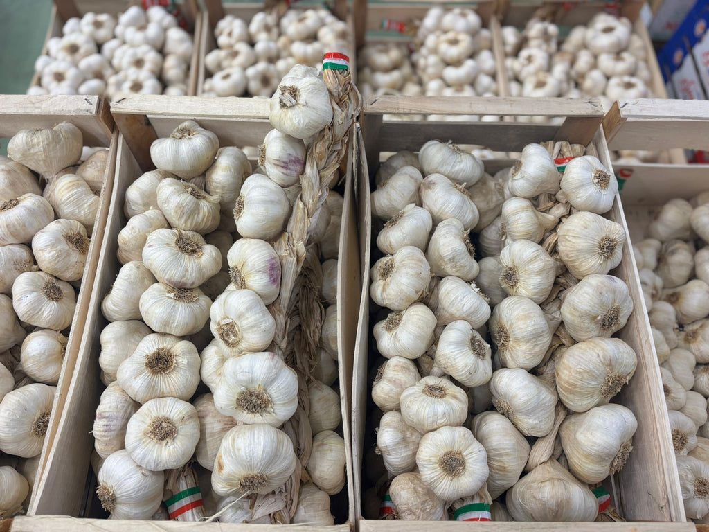 GARLIC WHITE STRING