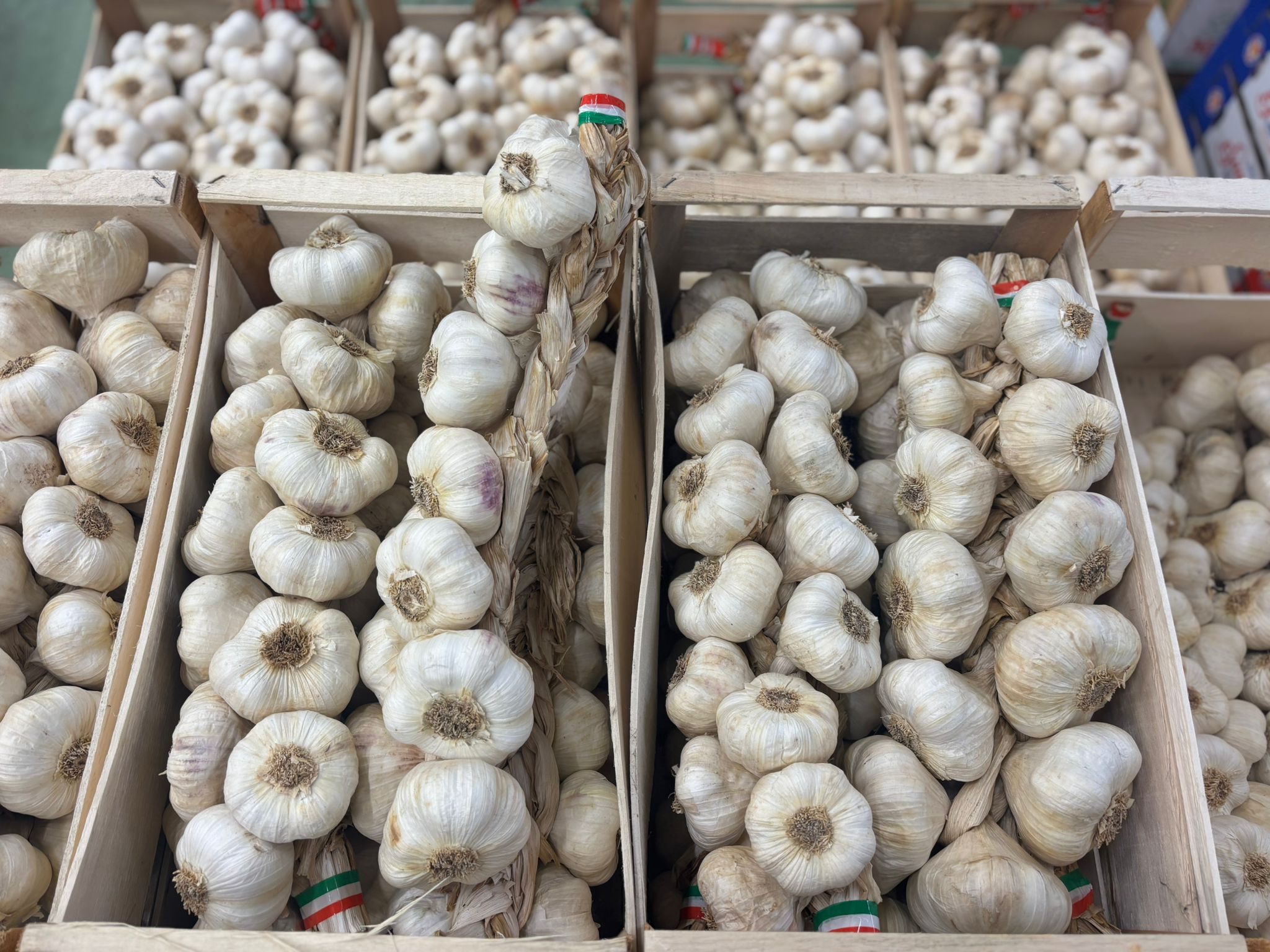 GARLIC WHITE STRING