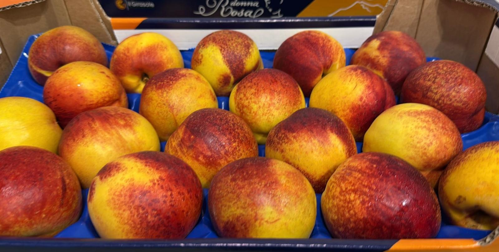 PEACH NECTARINE TRAY CAL. 20