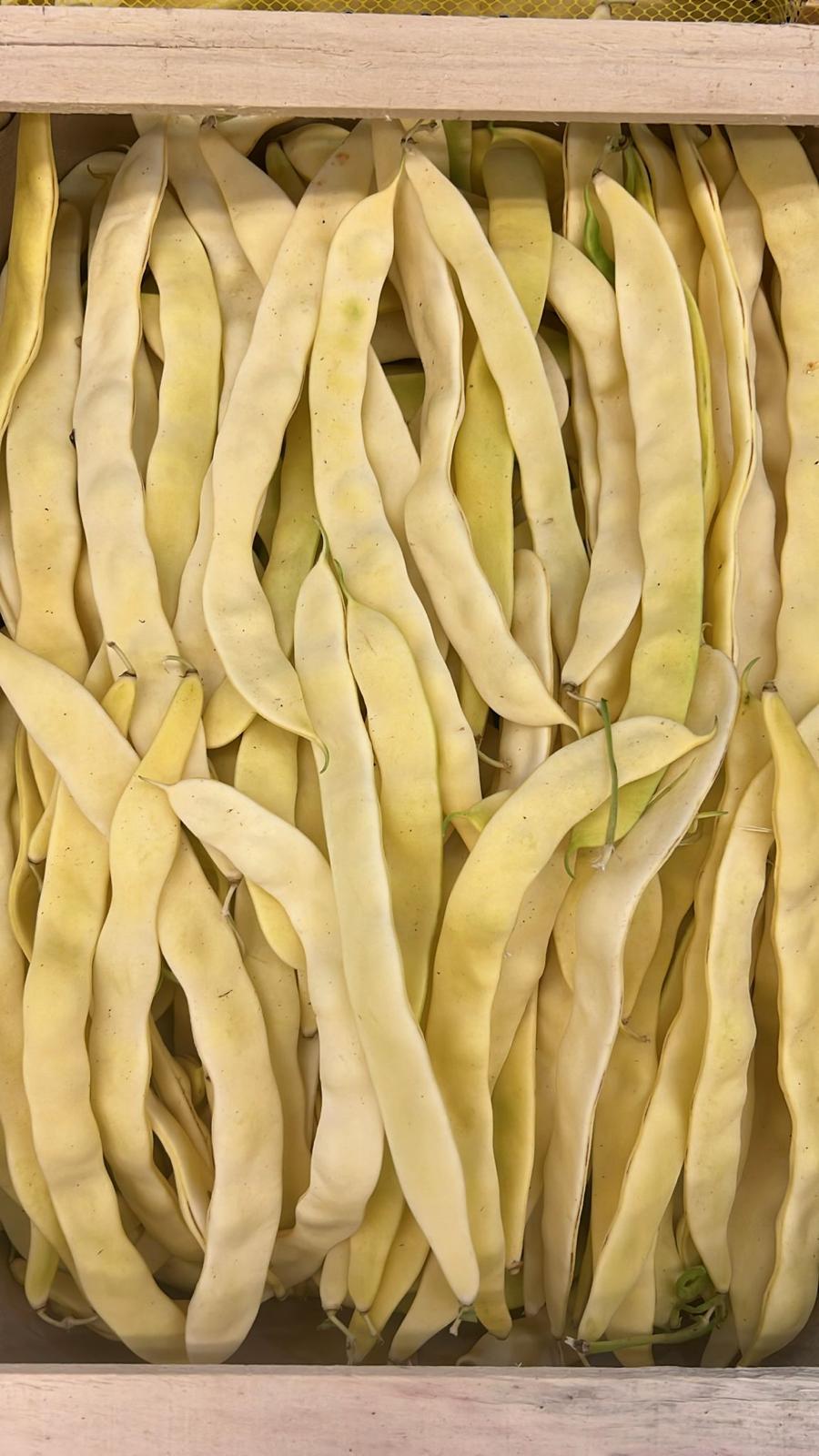 BEANS FLAT YELLOW