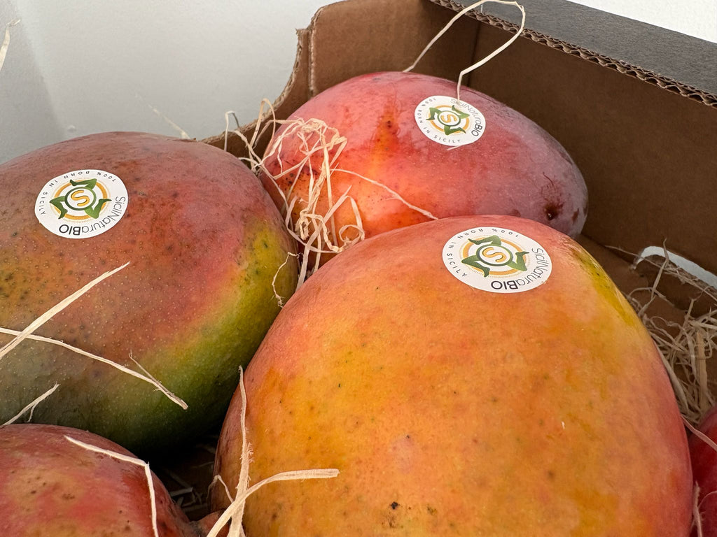 MANGO FRESH ITALIAN