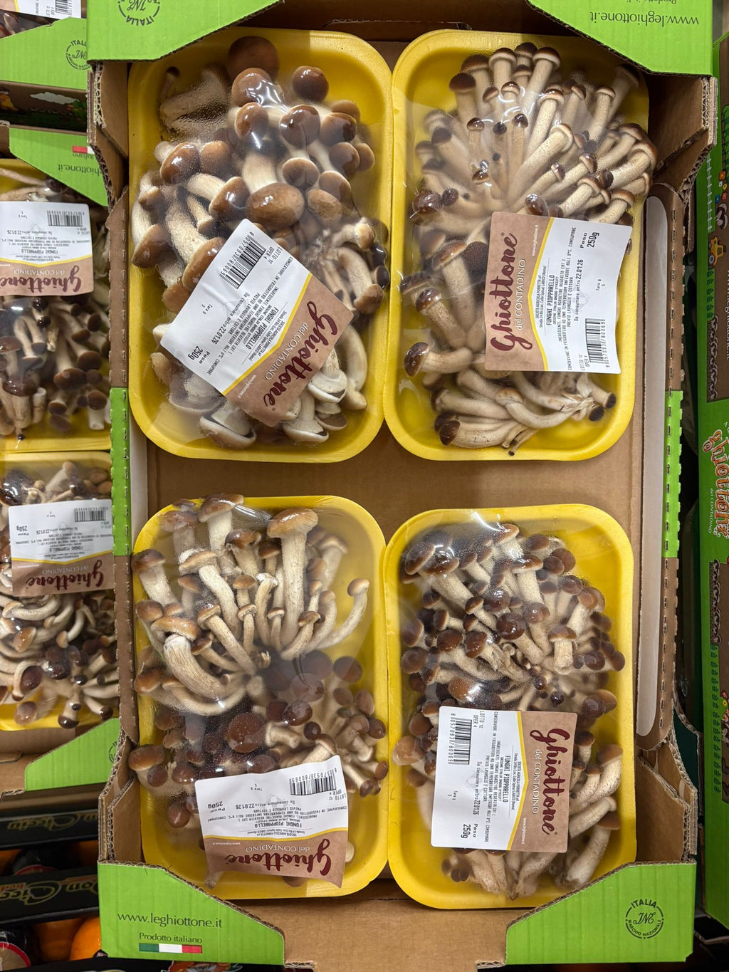 MUSHROOM PIOPPINI PUNNET