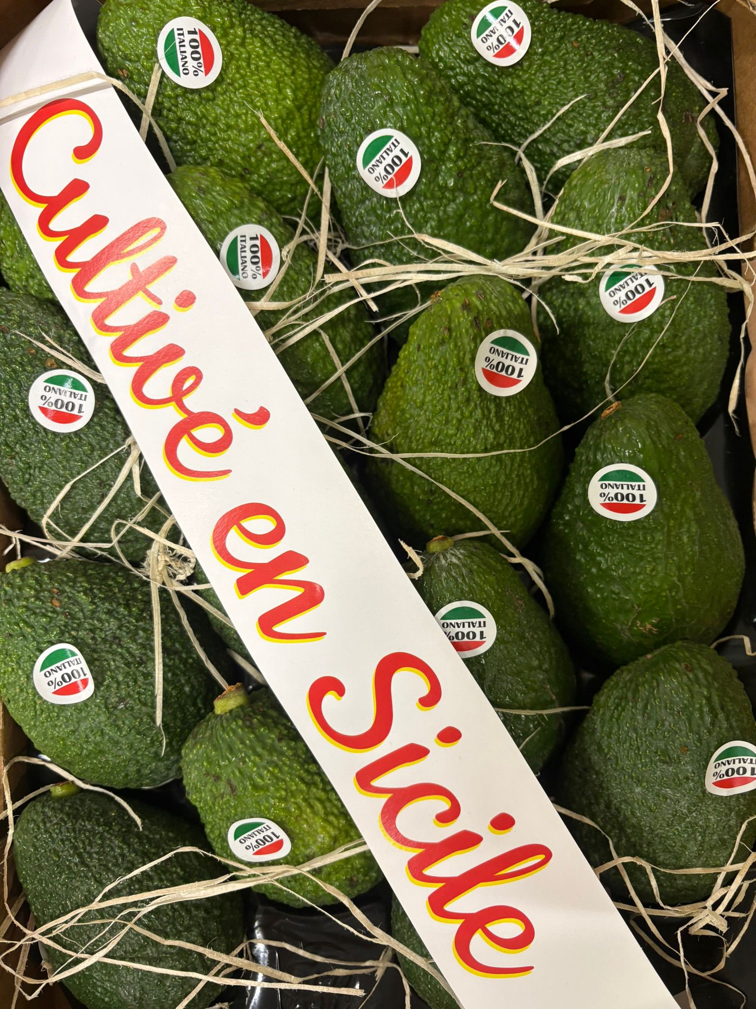 AVOCADO ITALY