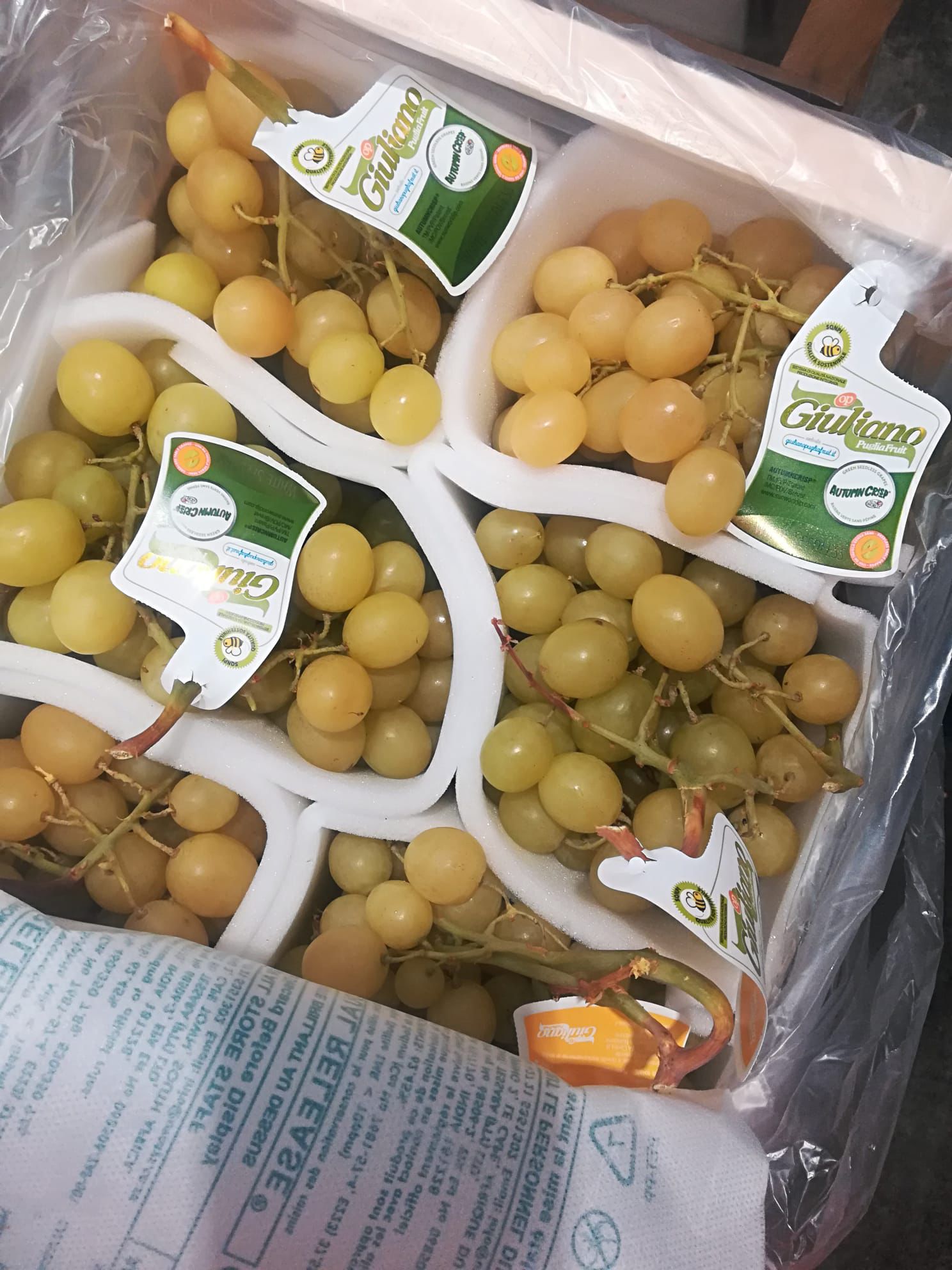 GRAPES WHITE SEEDED ITALIA