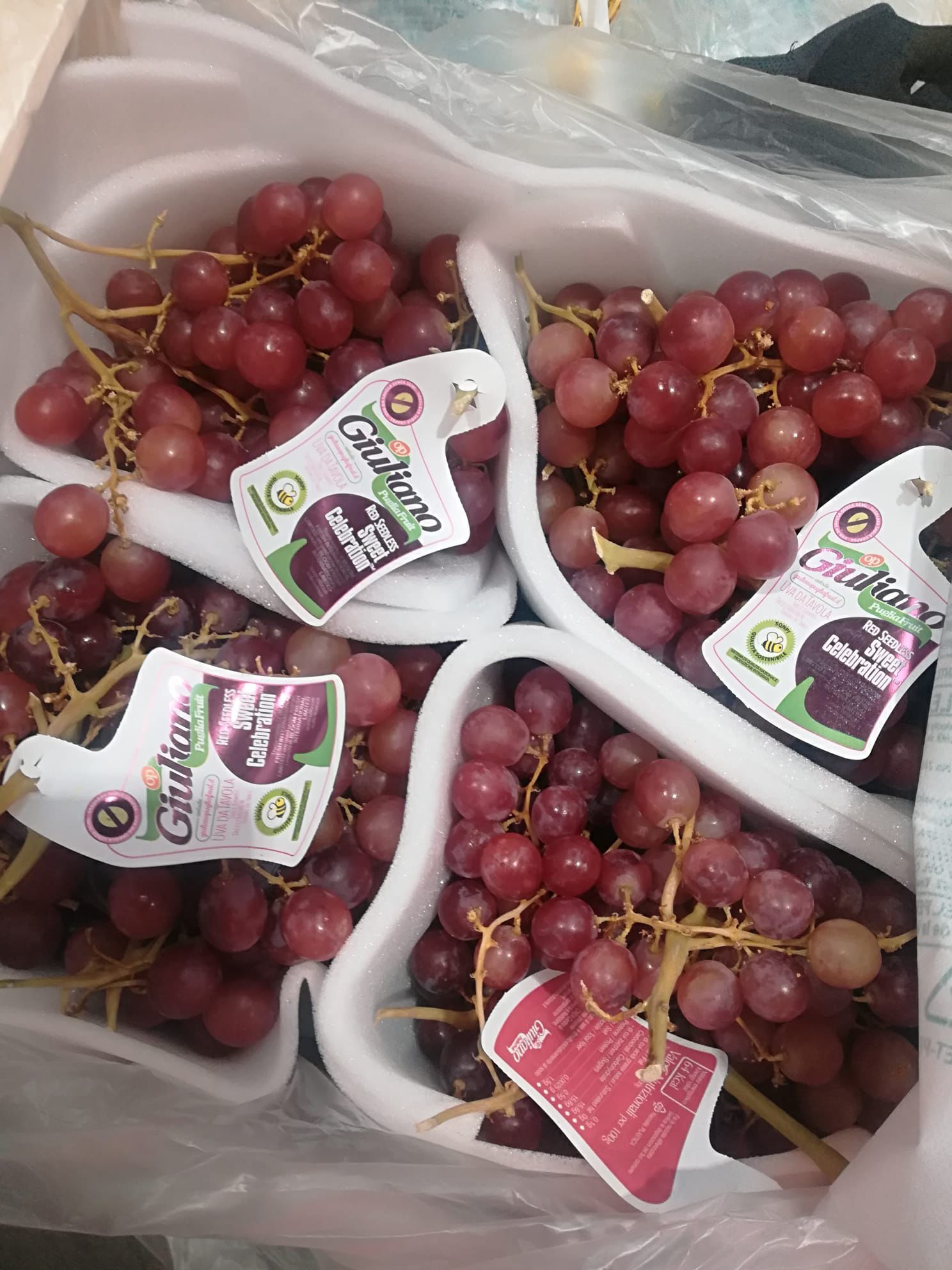 GRAPES STRAWBERRIES FRAGOLA