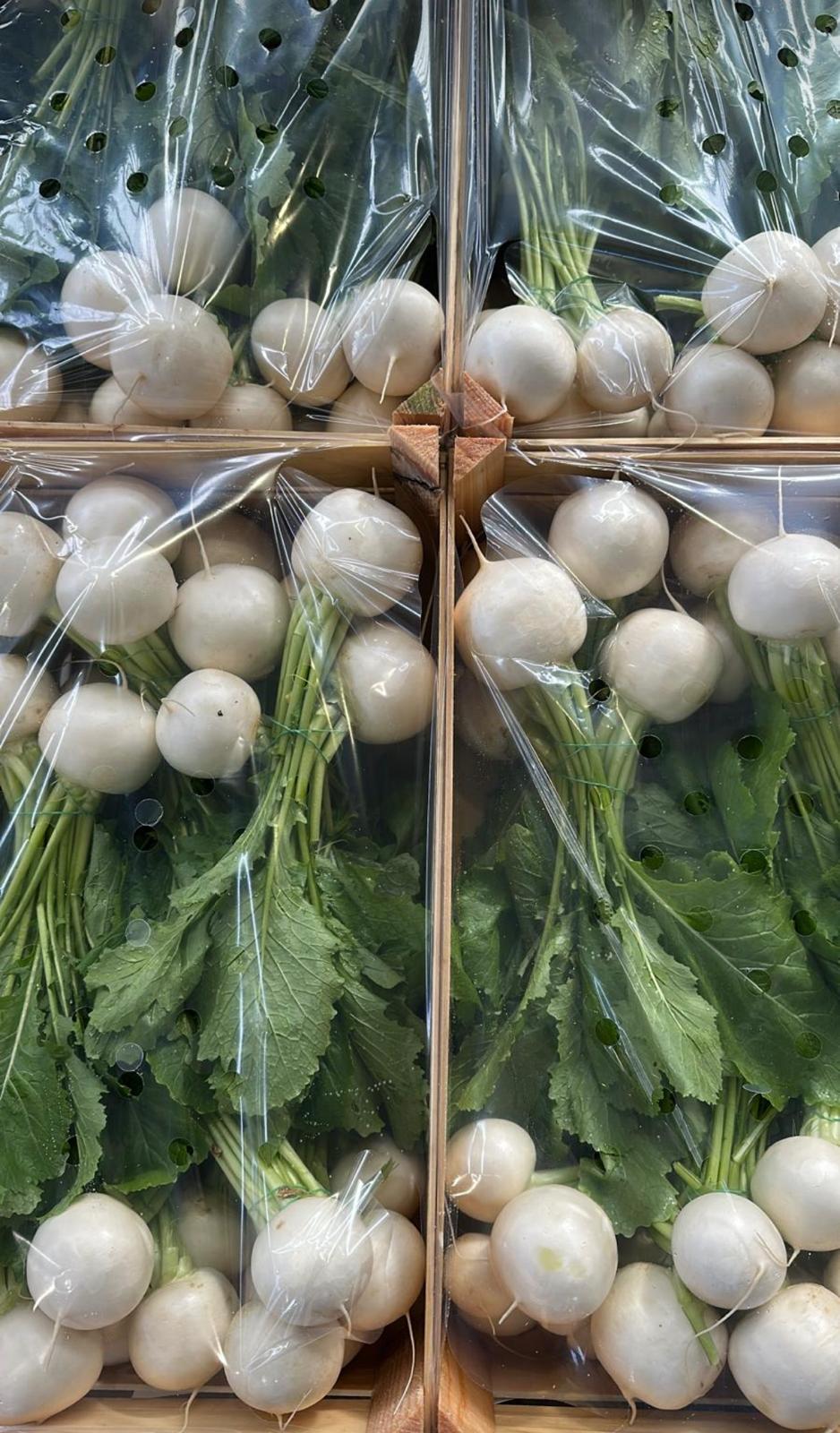 TOKYO TURNIPS