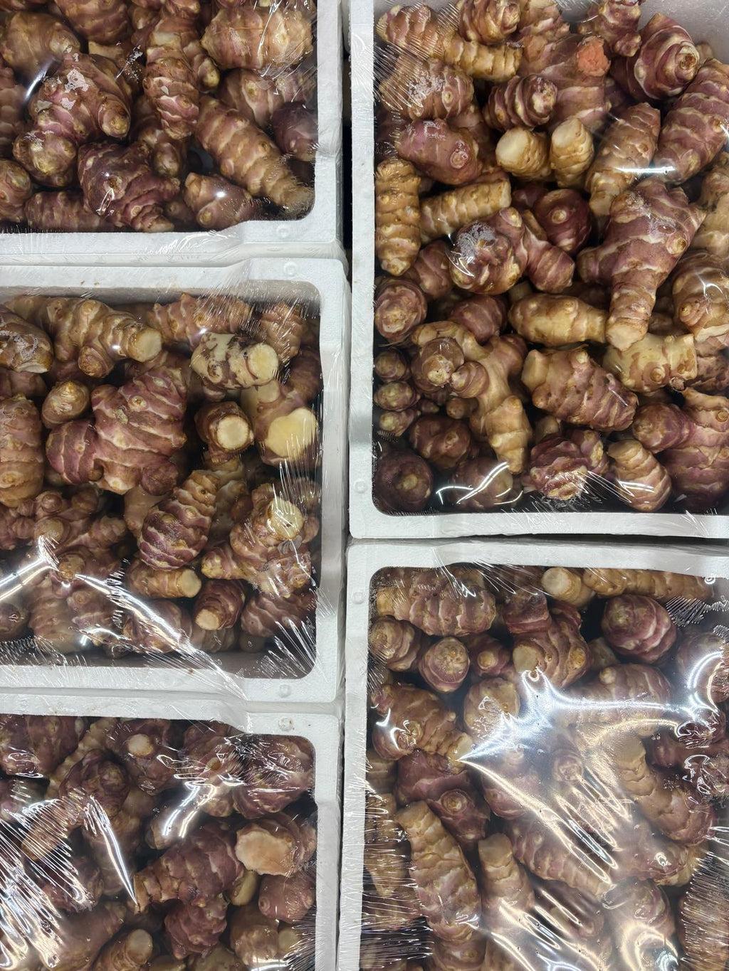 ARTICHOKE JERUSALEM