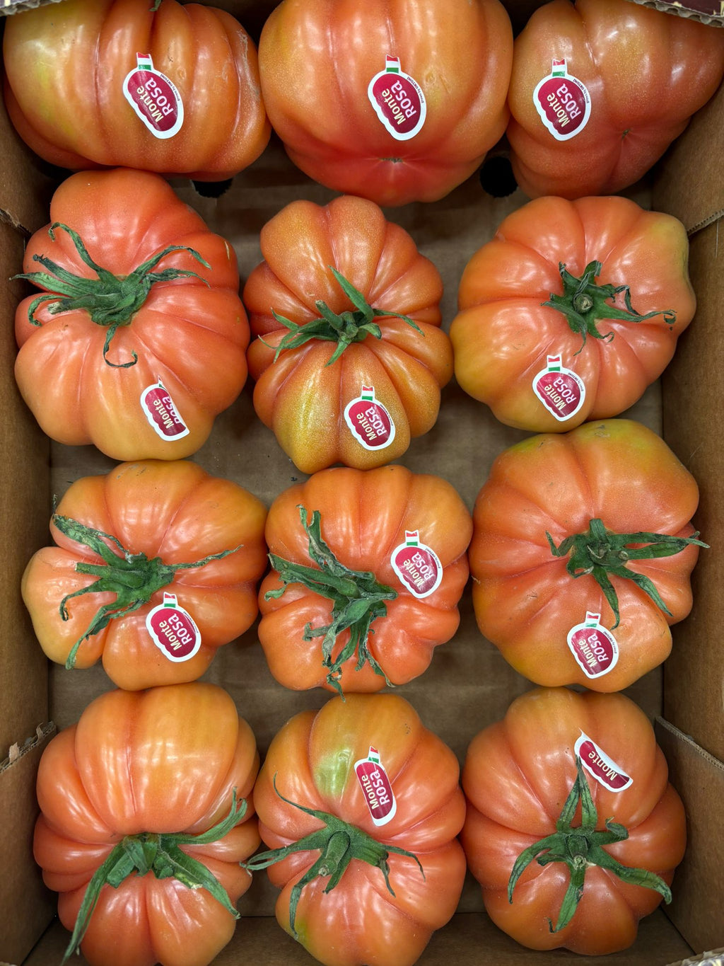 TOMATO COSTOLUTO