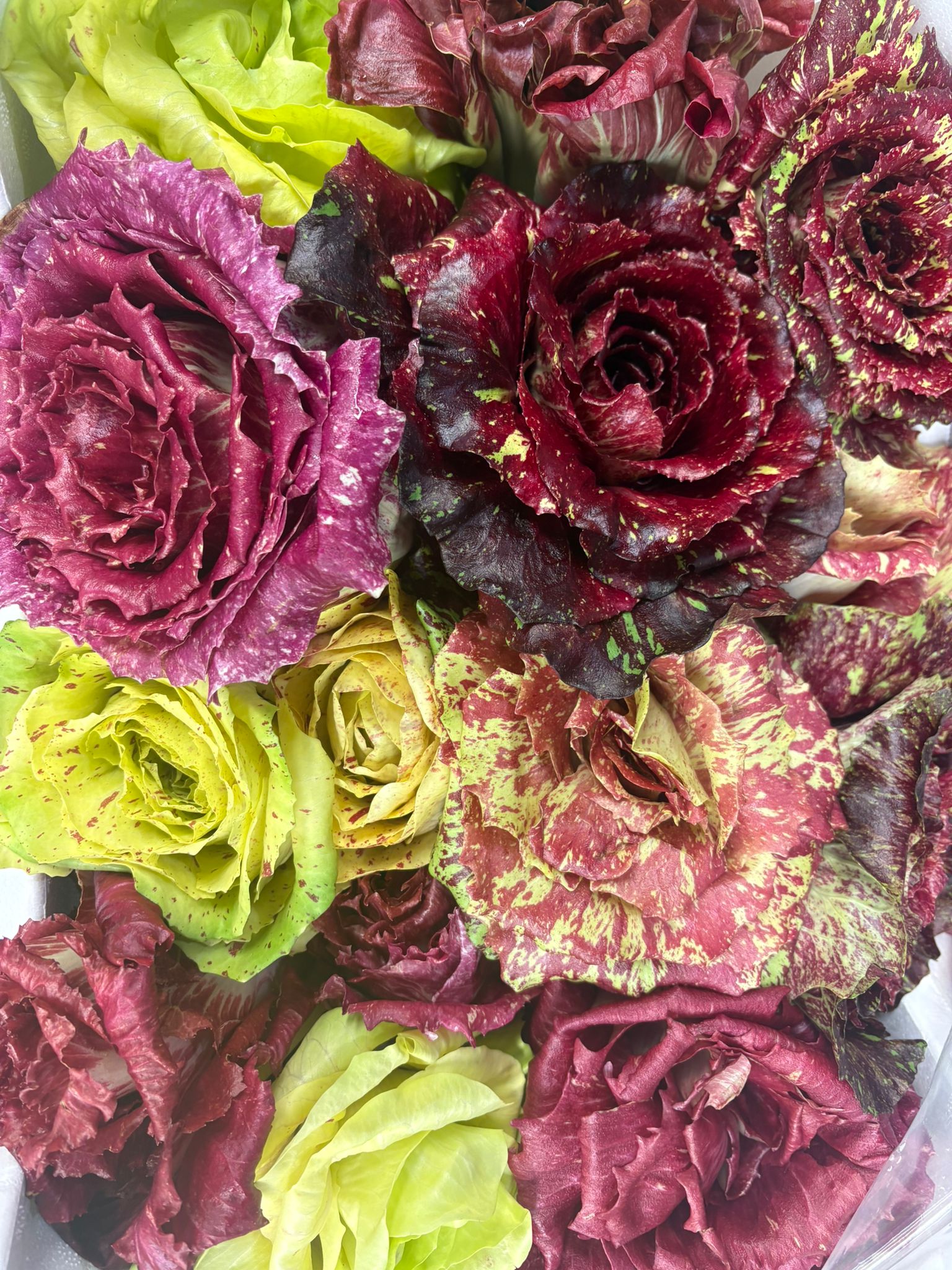 CASTELFRANCO