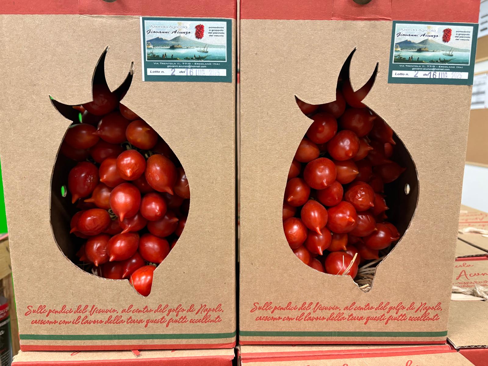 TOMATO PIENNOLO RED