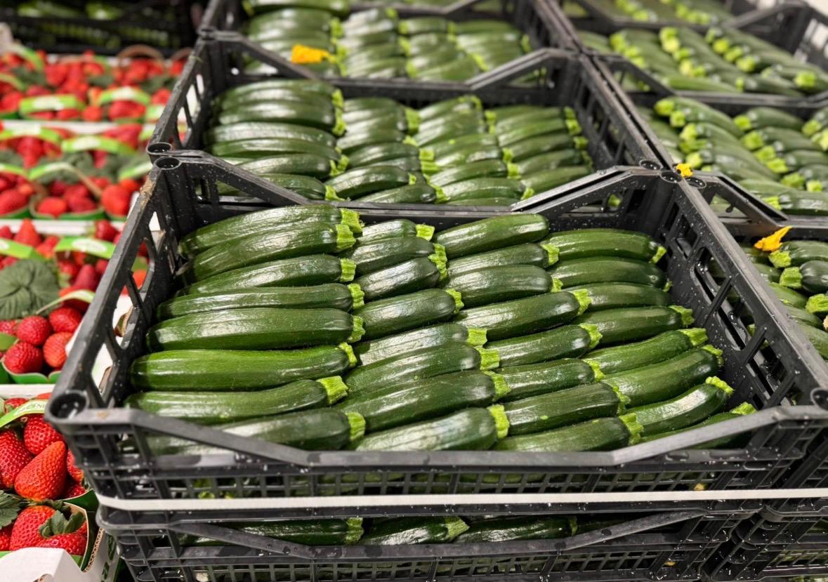 COURGETTES GREEN 14/21
