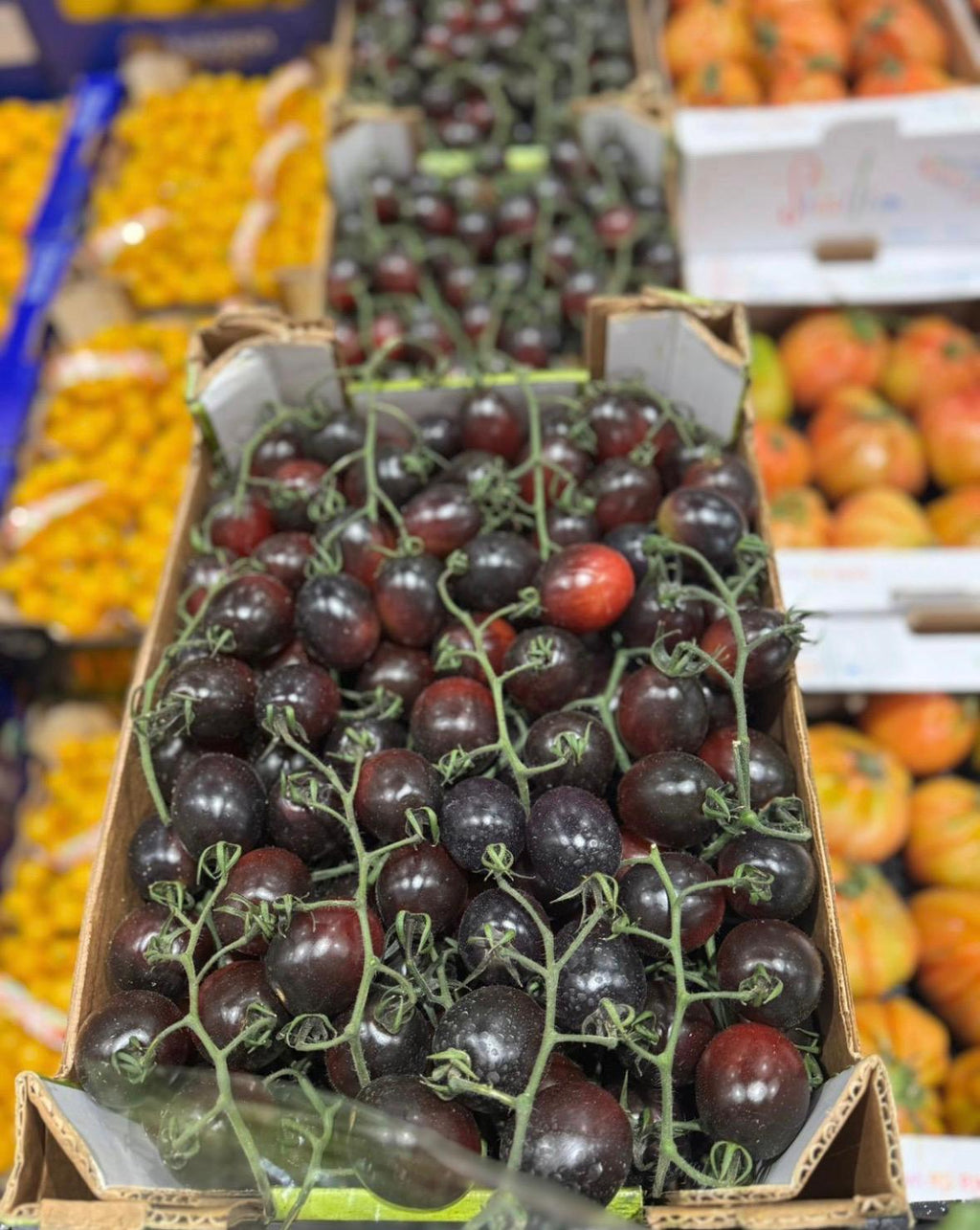 TOMATO CHERRY VINE BLACK