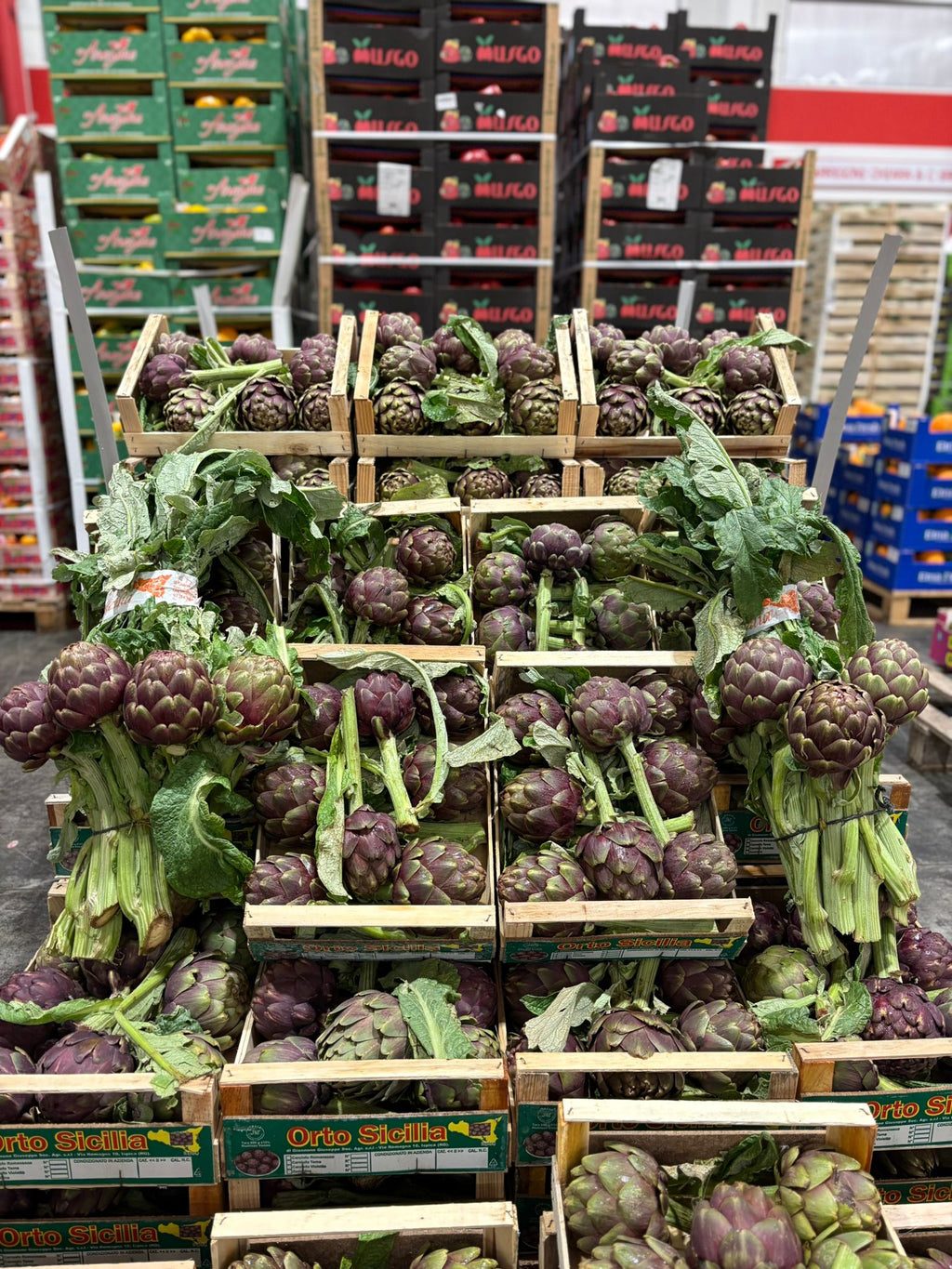 ARTICHOKES MAMMOLA BUNCHED X 8 PCS